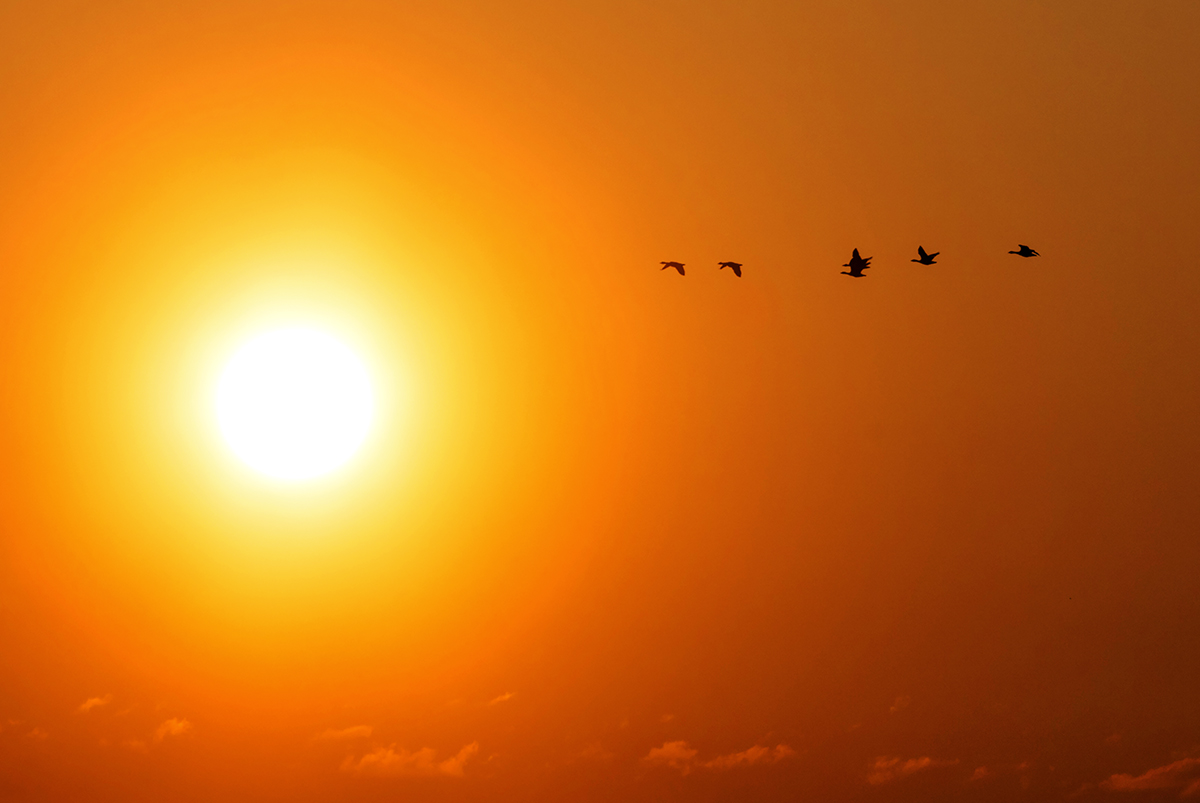 Полет к солнцу