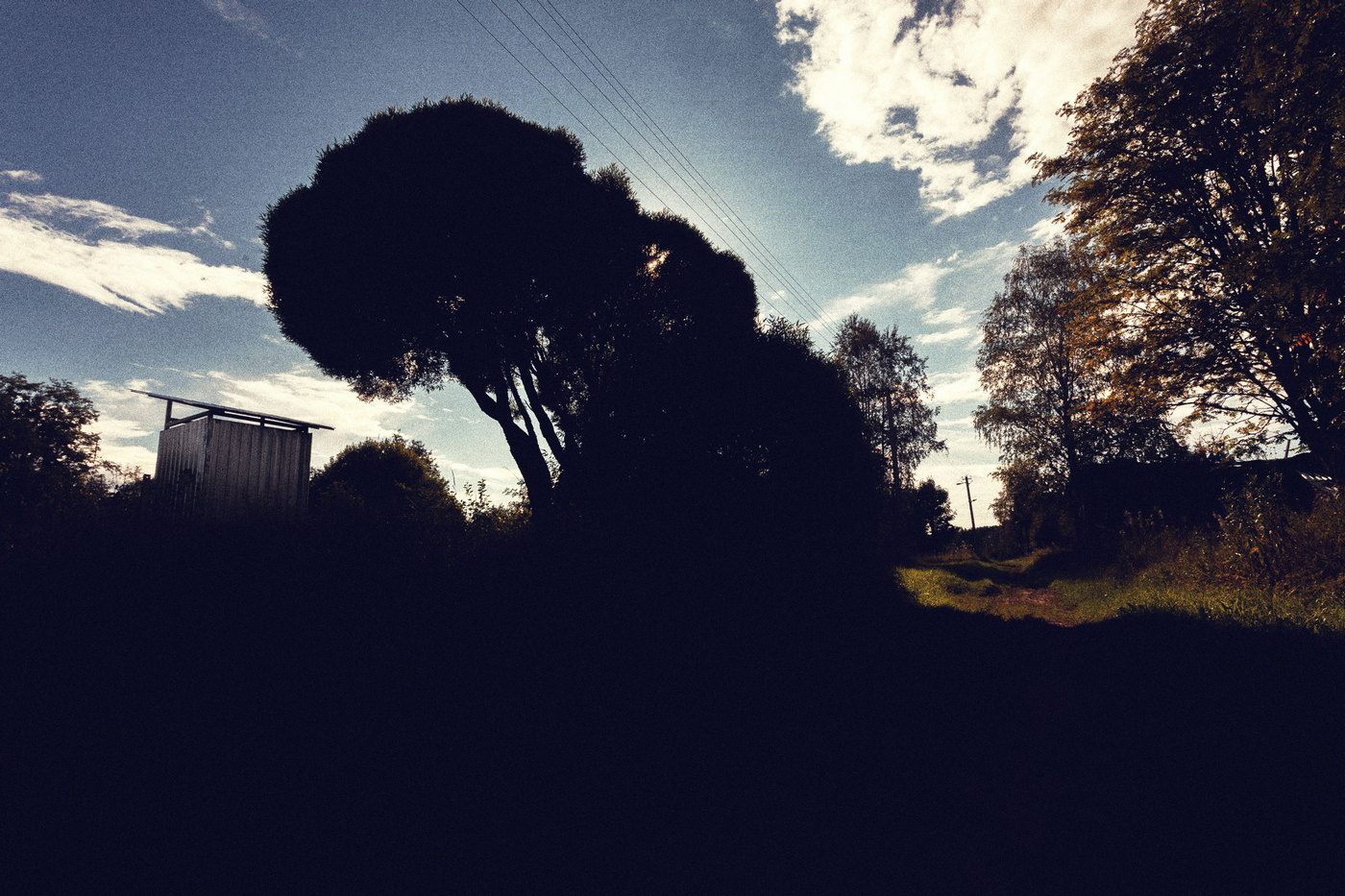 Жизнь вокруг