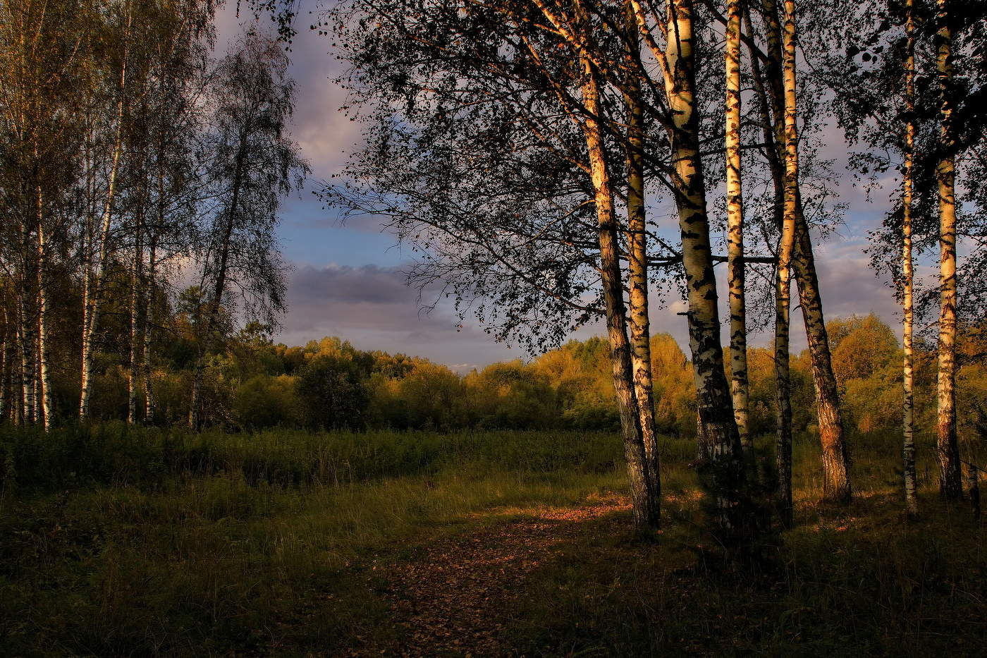 *Тёплый вечер.**