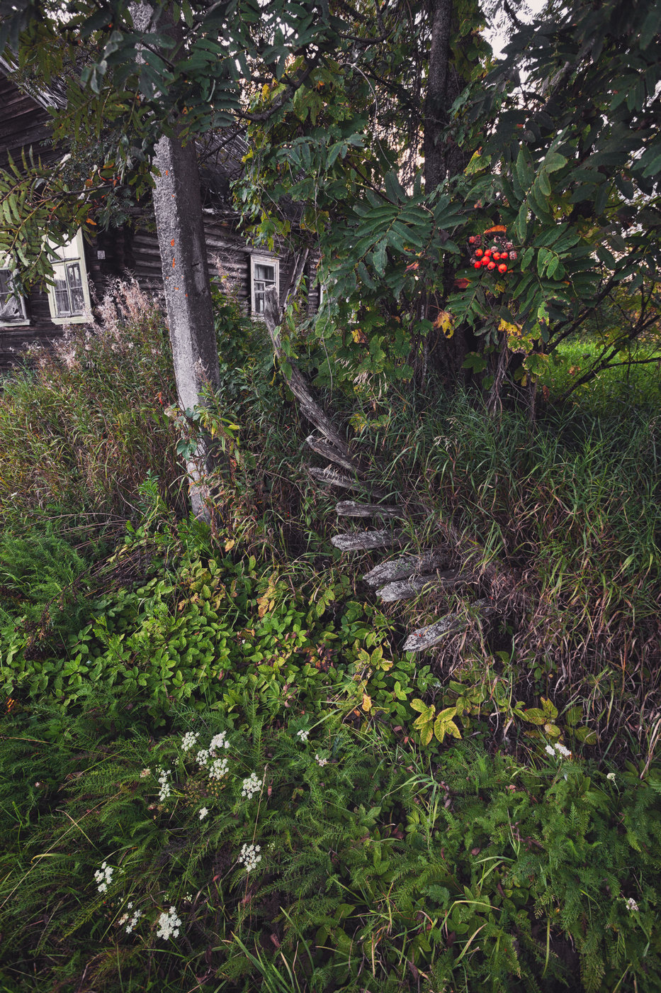 Жизнь вокруг