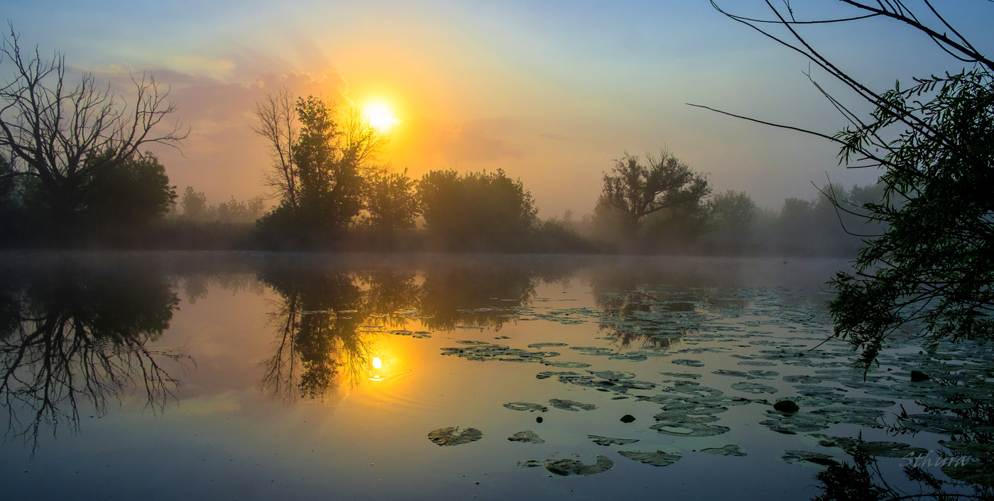 На восходе.