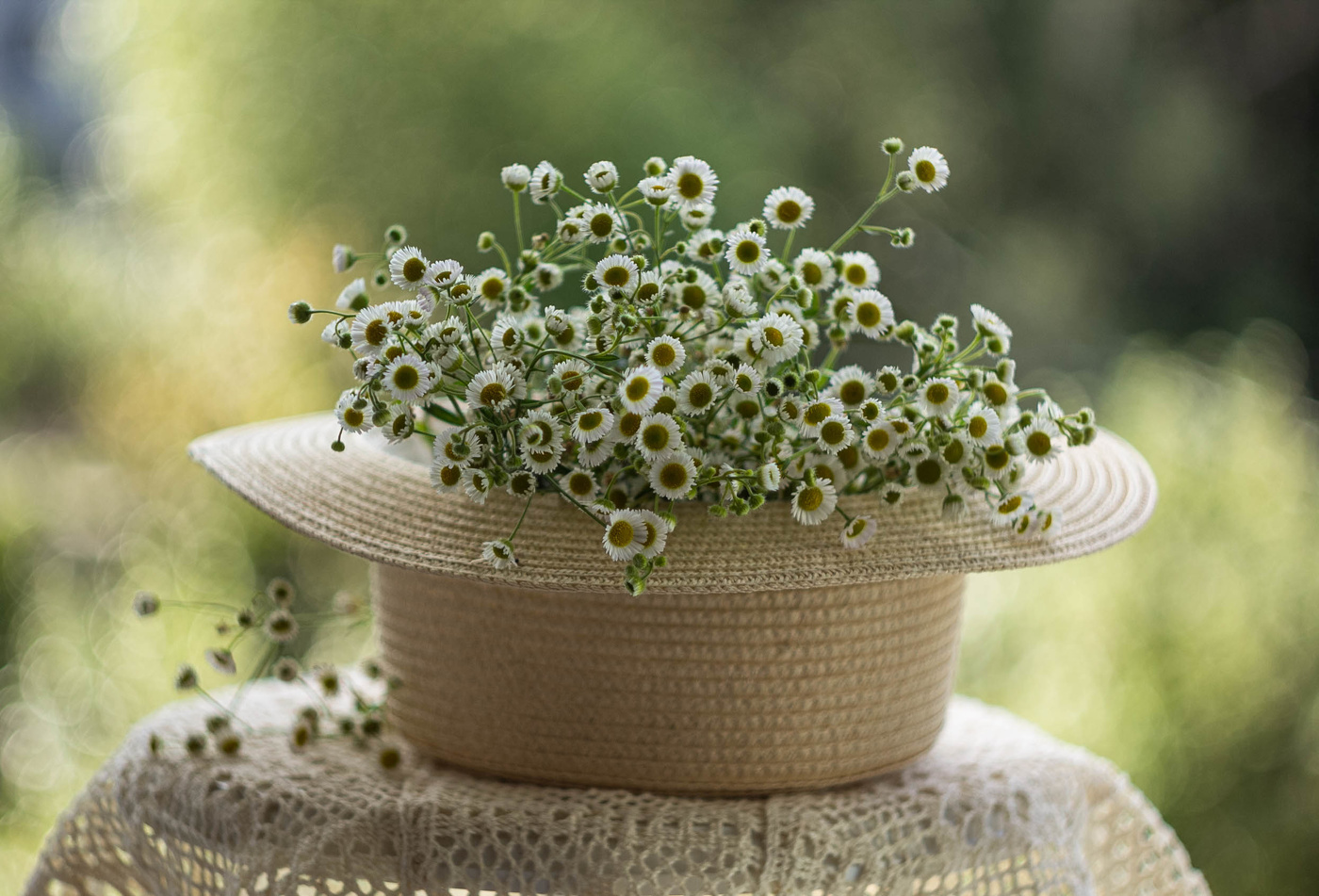 Уходящее лето