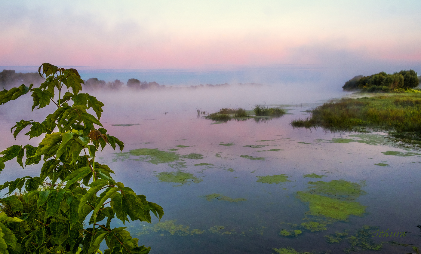 Утреннее мгновение.