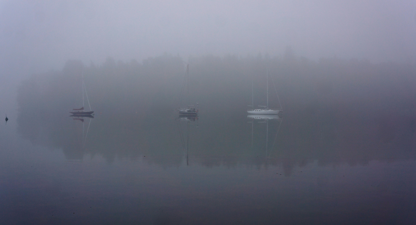 Утро, туман...