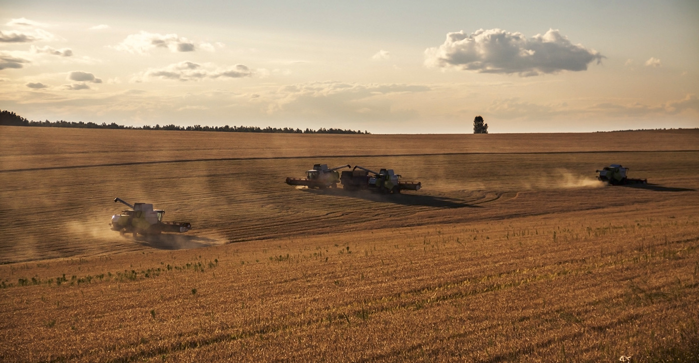 Уборка урожая