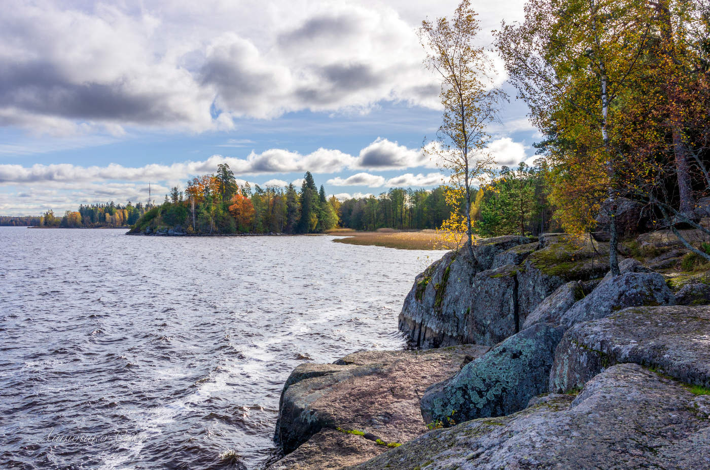 Парк "Монрепо" осенью.