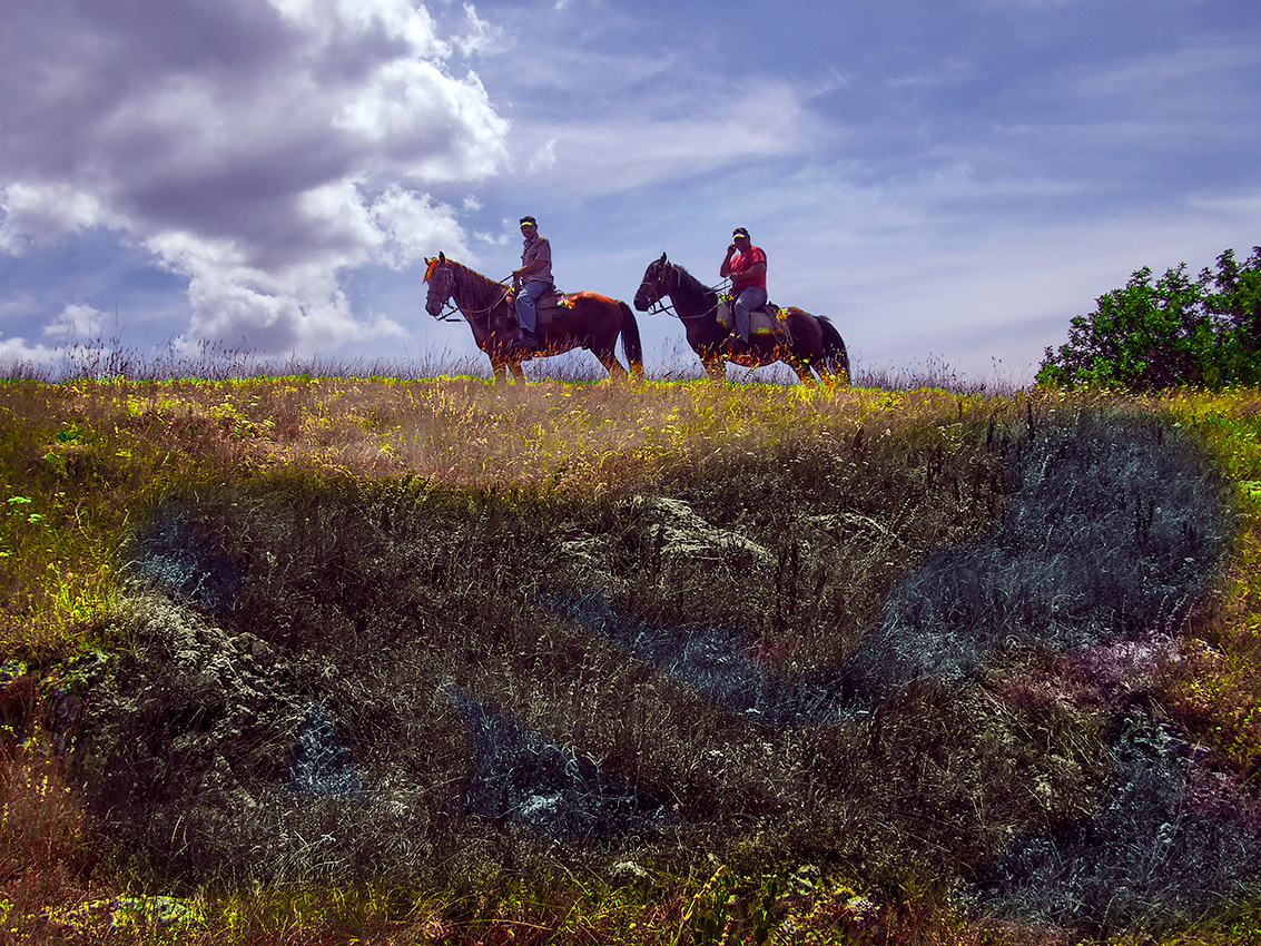 Коняшки на подиуме