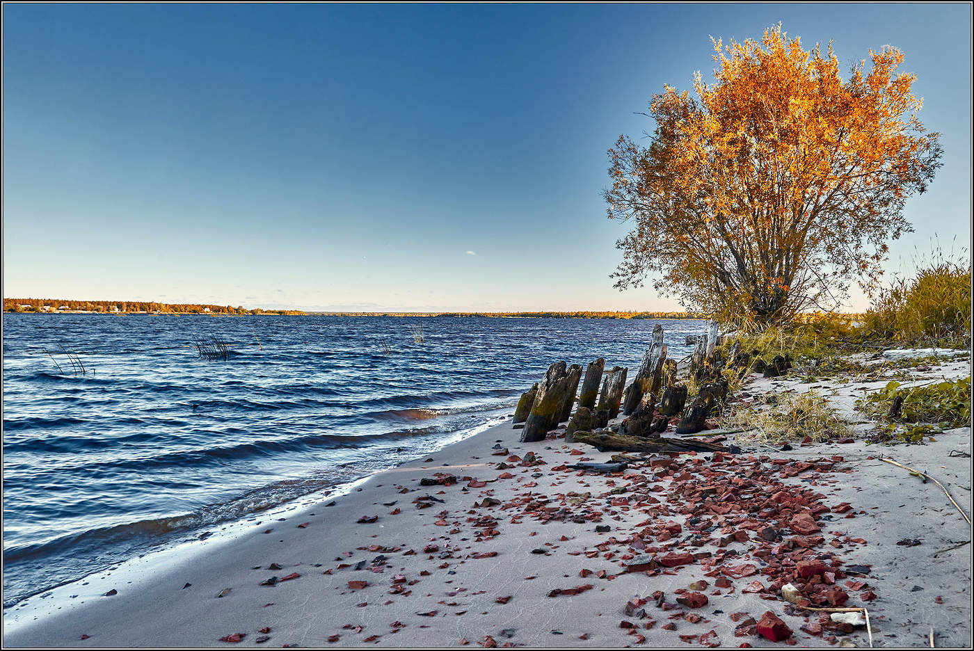 Скоро осень.