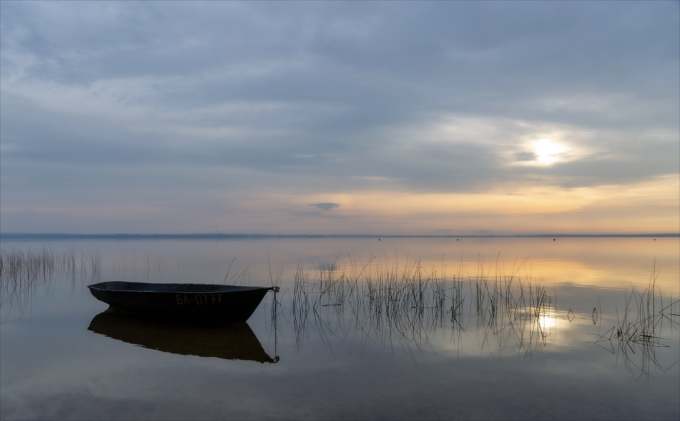 ЗВУК ТИШИНЫ