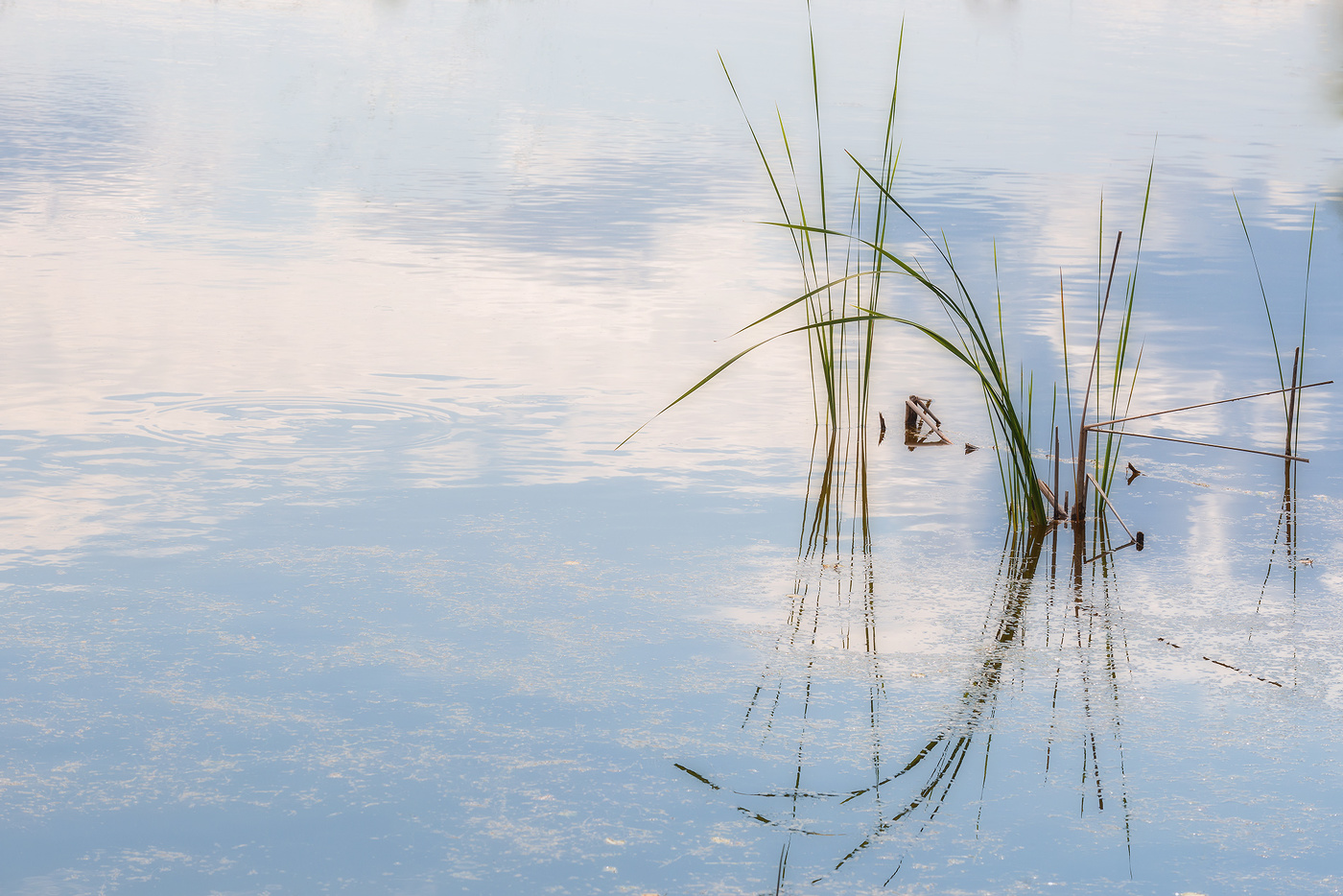 Безветрие...