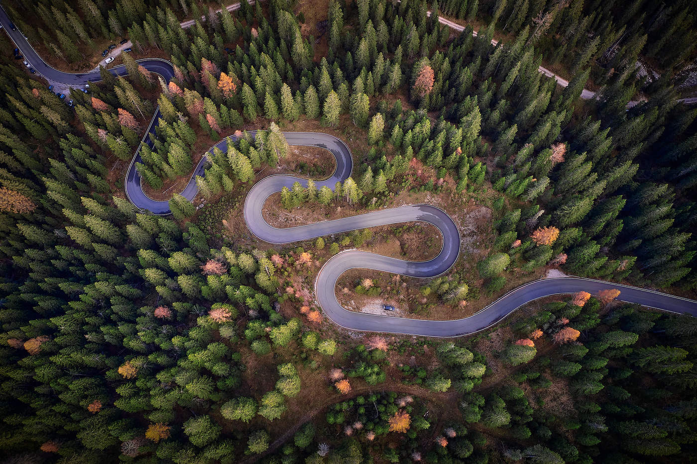 Цвета Осени...