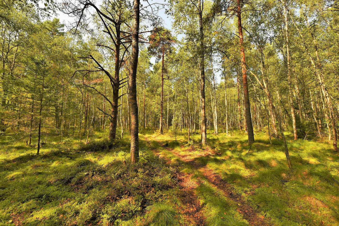 "Последний летний день не долговечен ..."