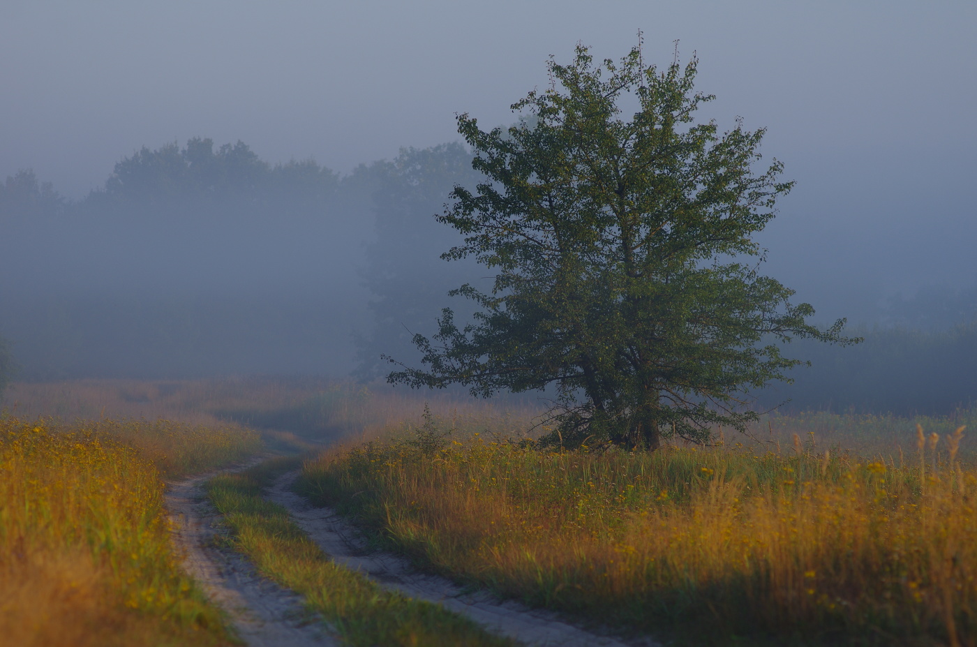 Утренний пейзаж