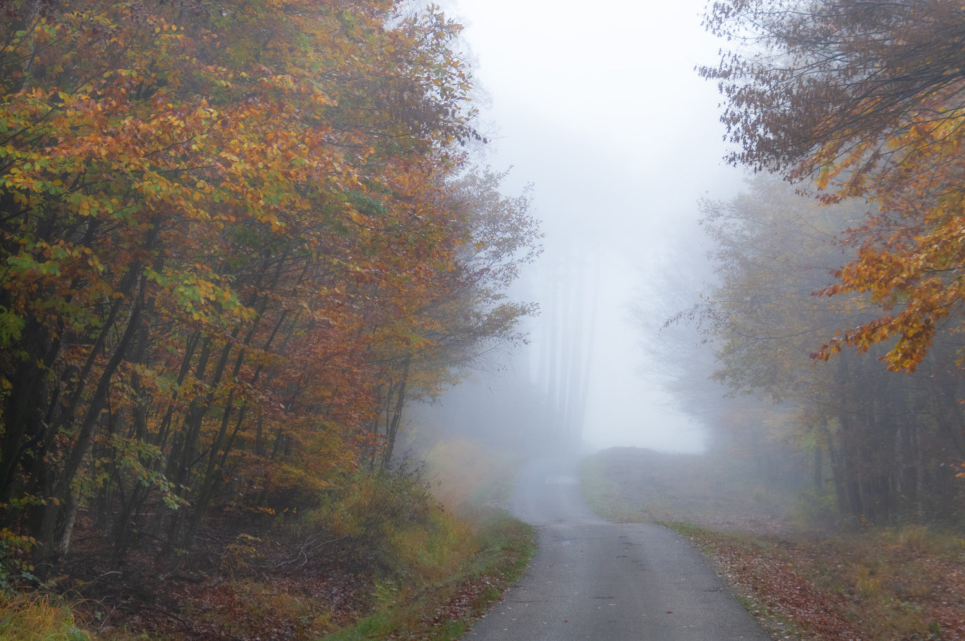 Вот и осень...