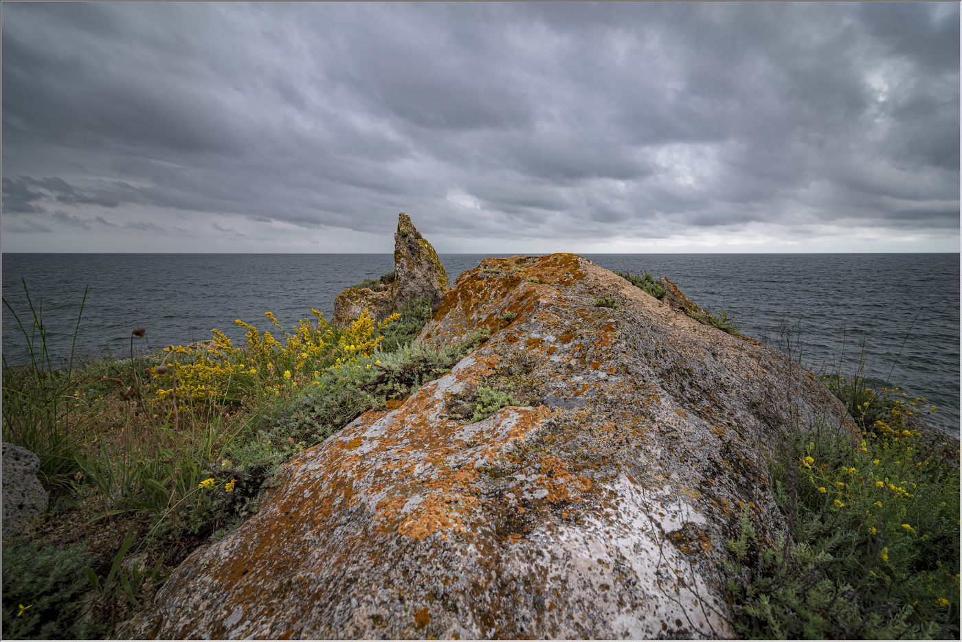Прибрежный цветник