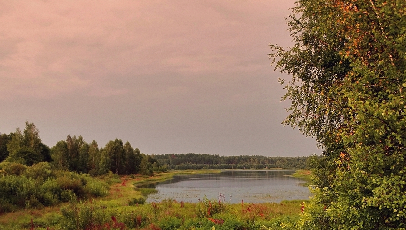 Осень показала свои краски