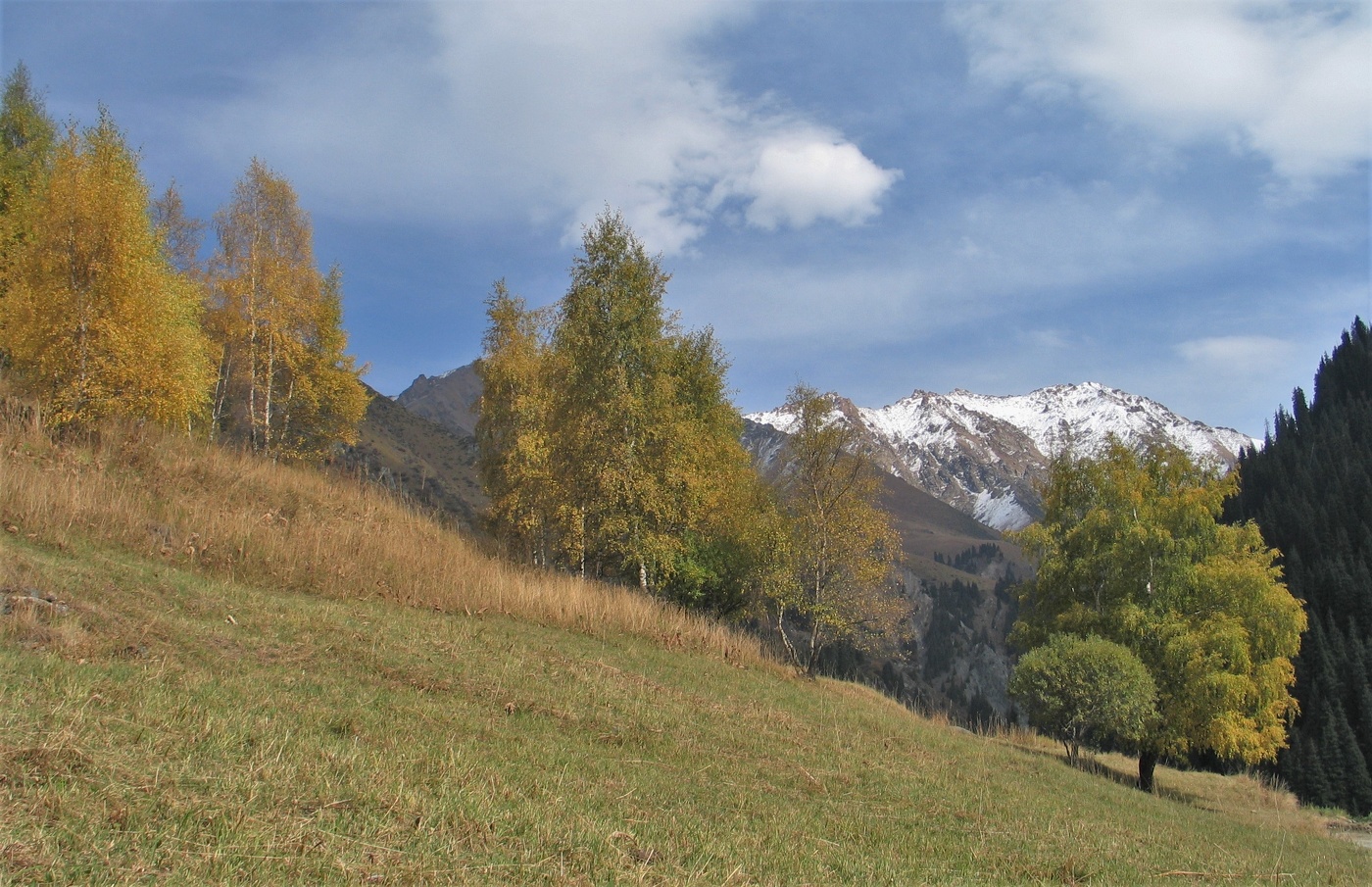 Здравствуй