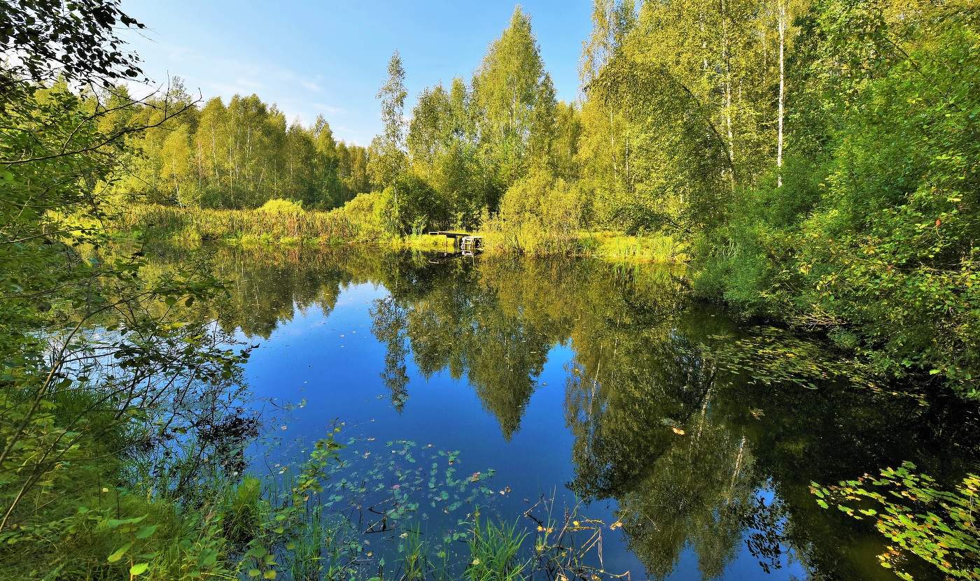 "О, тишь озерная! О, тайна между тайн!"