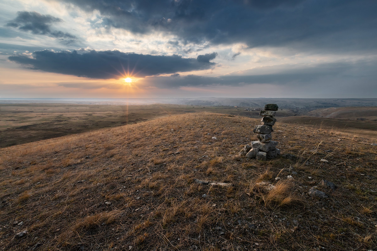 Рыжая степь