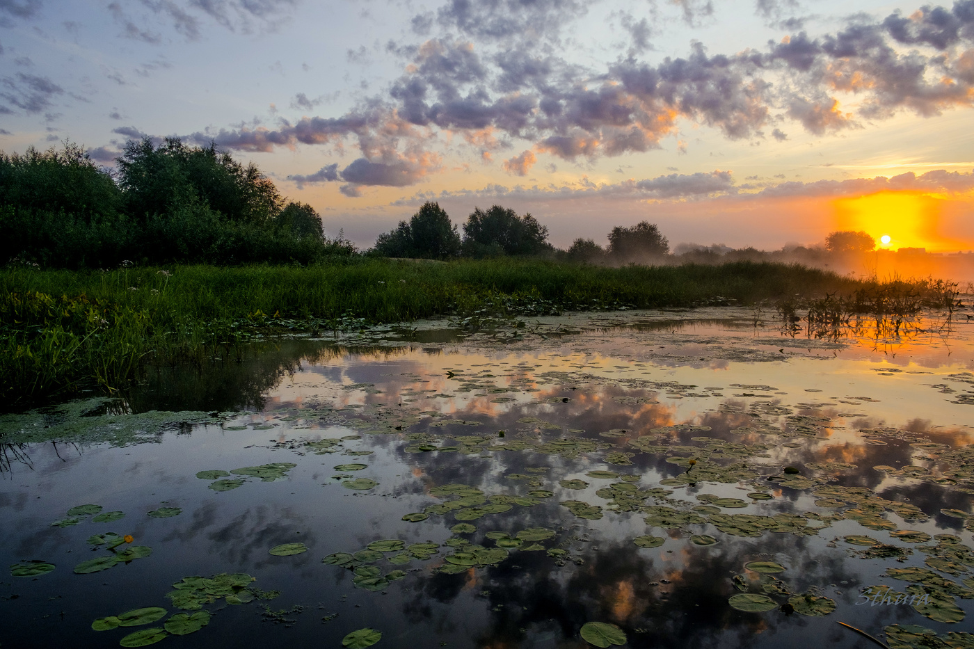 Август. Рассвет.