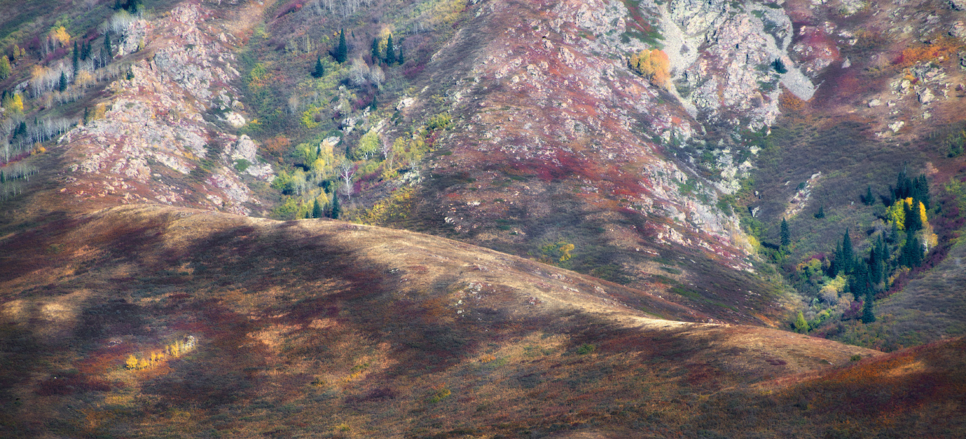 Палитра осени