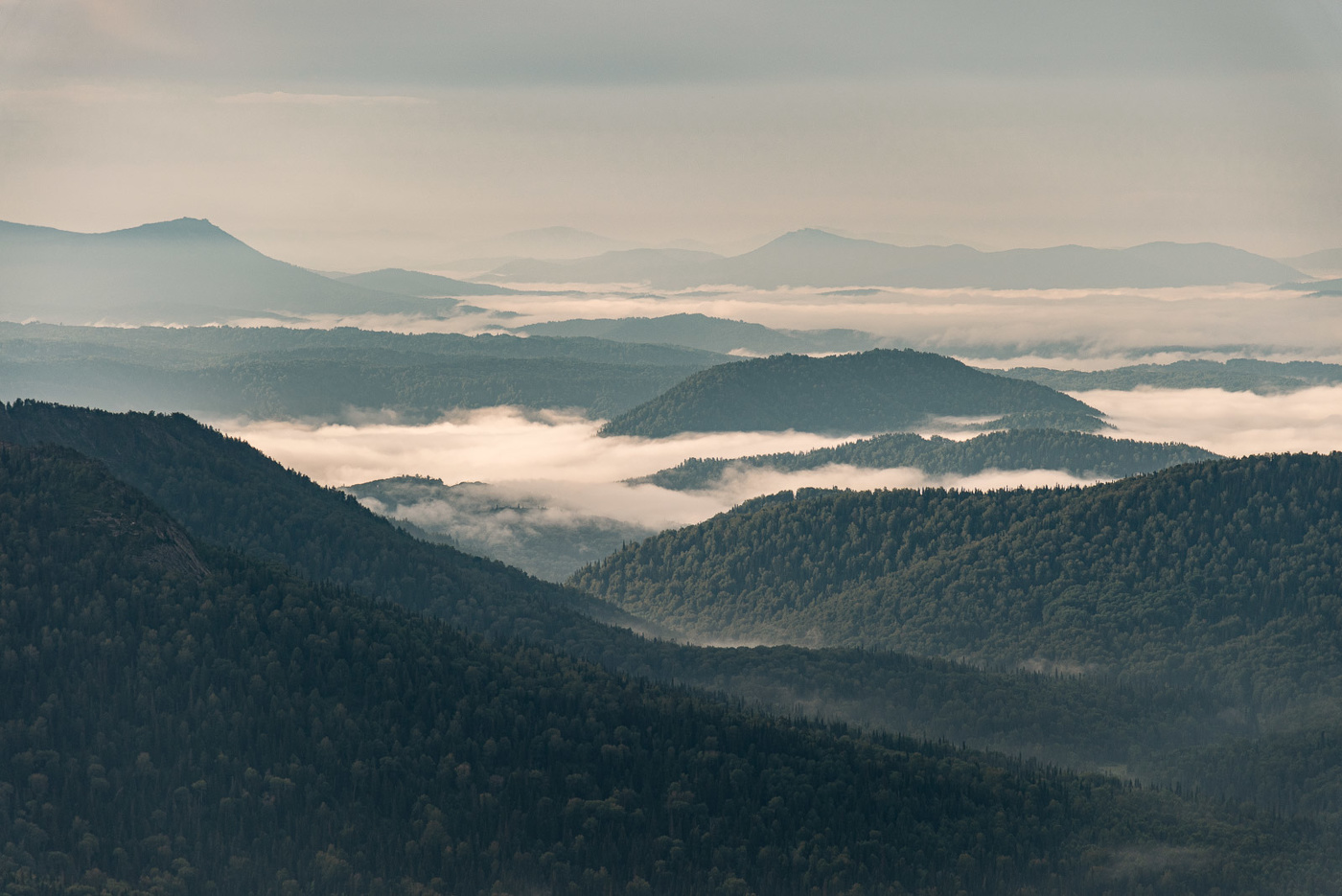 Туман рисует поутру такие чудные картины...
