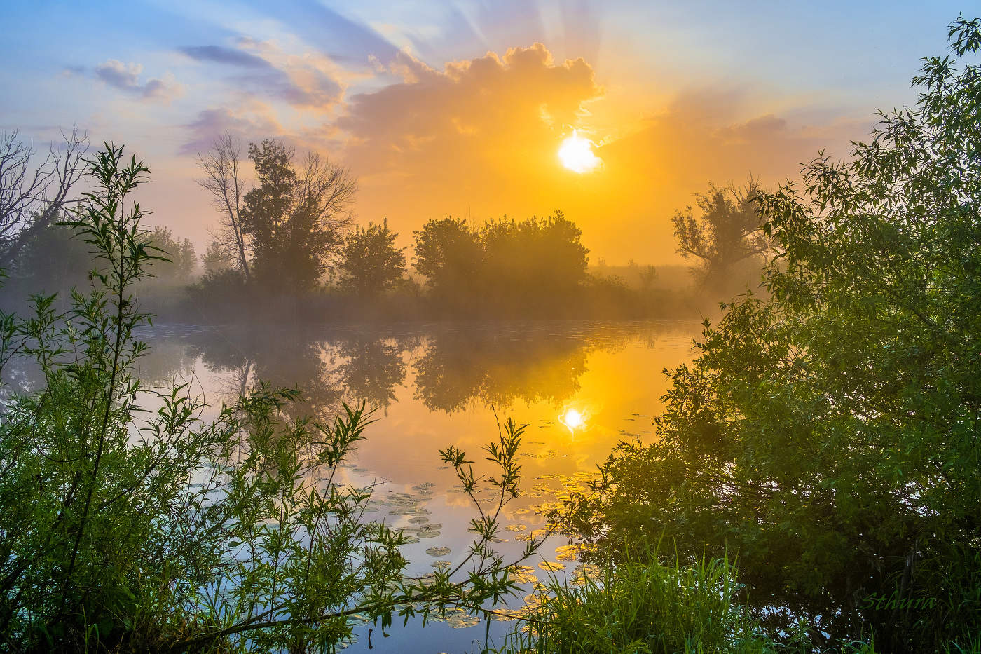 Утро на озере.