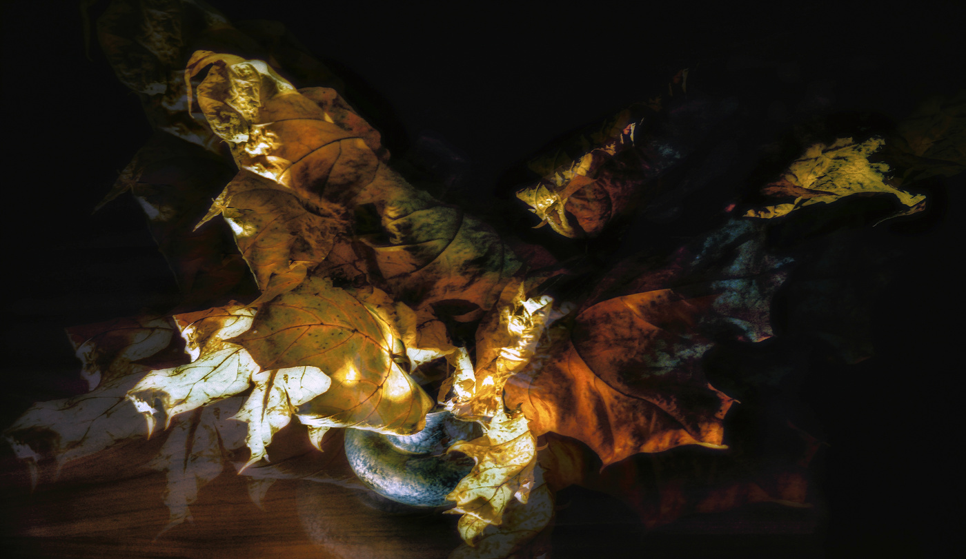 Осенние листья.