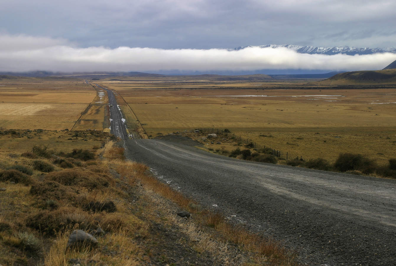 "На волю, в пампасы!"