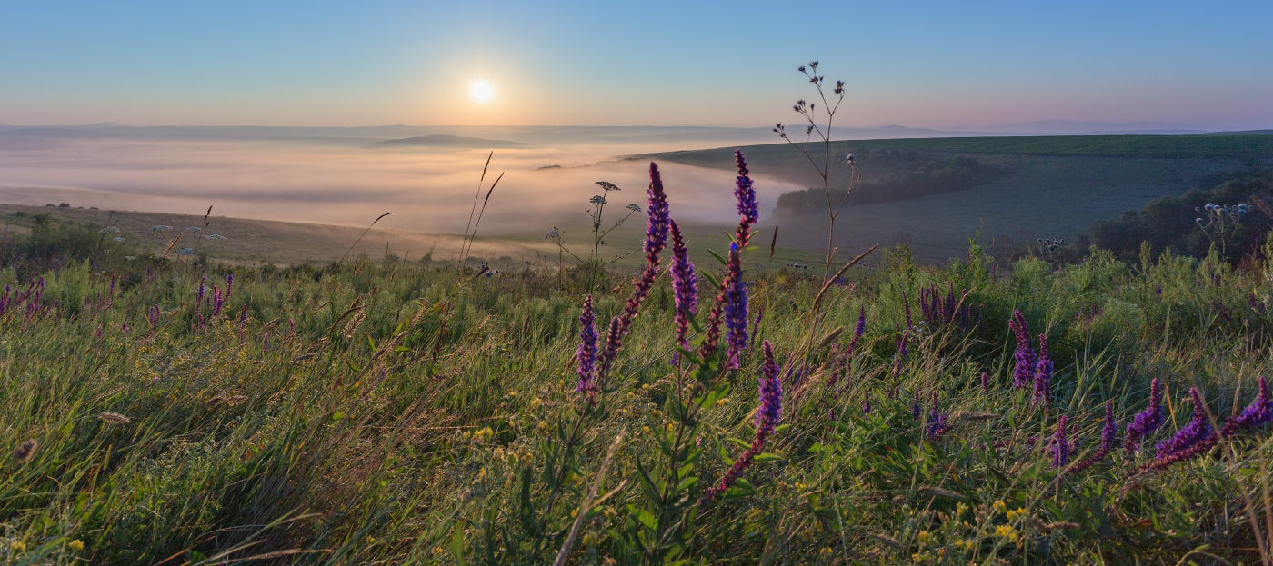 По утренней росе