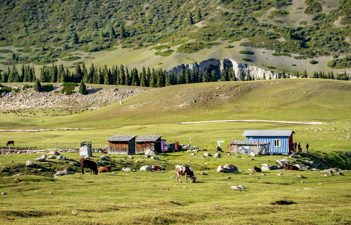 Жизнь в горах