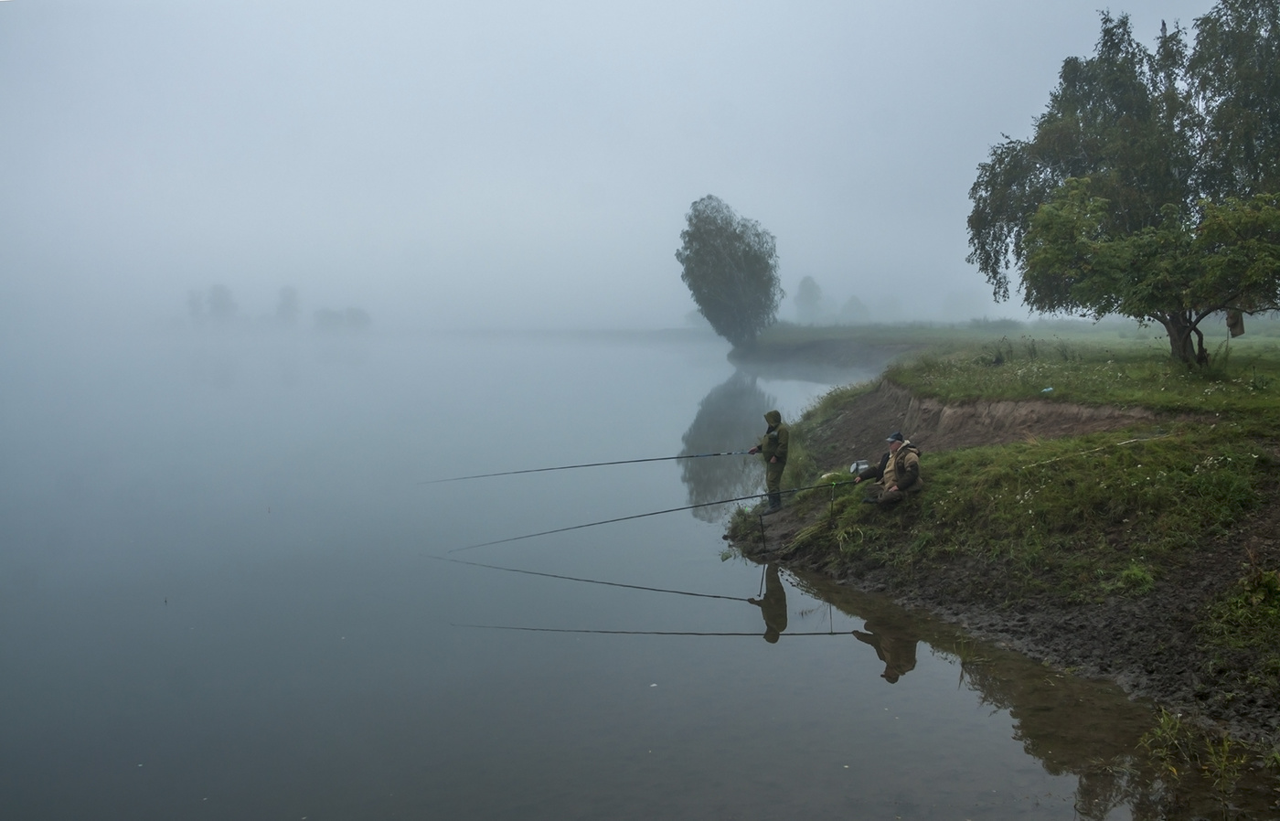 Тишина утра