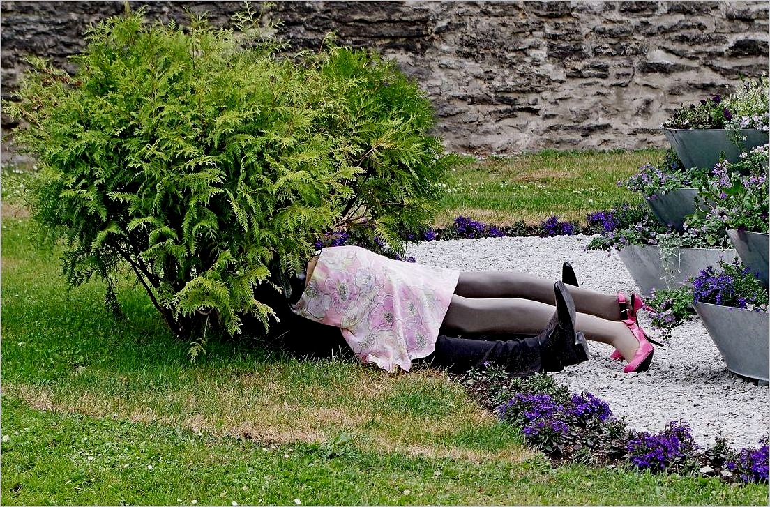 Случай в парке