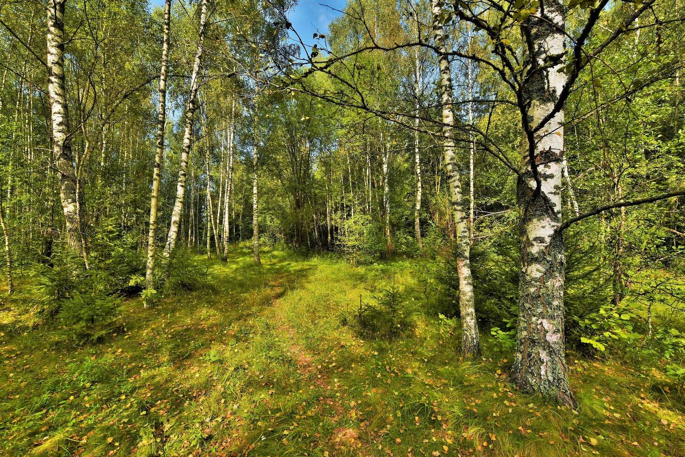 "Начинается сказка осенняя тихо ..."