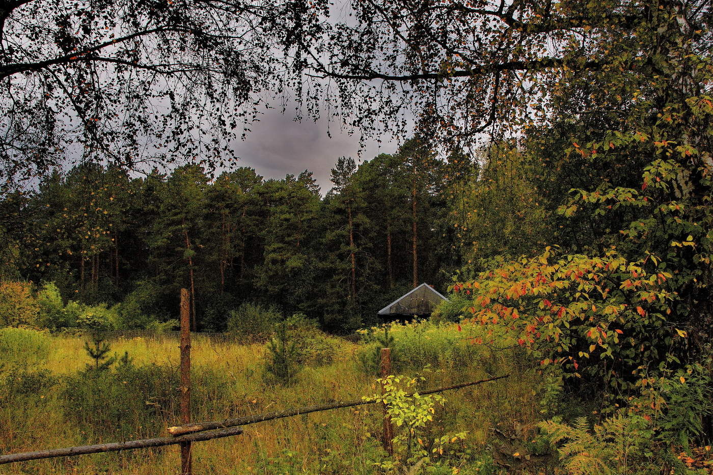 Осенним днём.