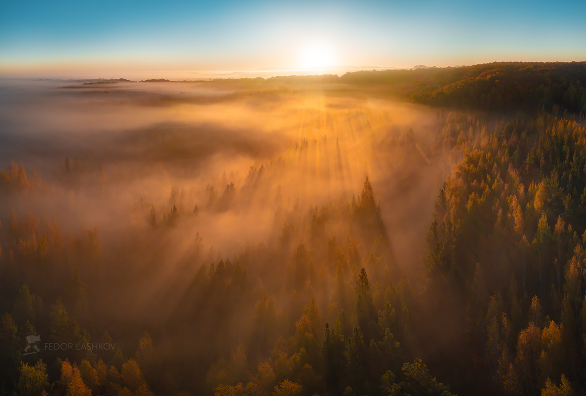 Золотой туман