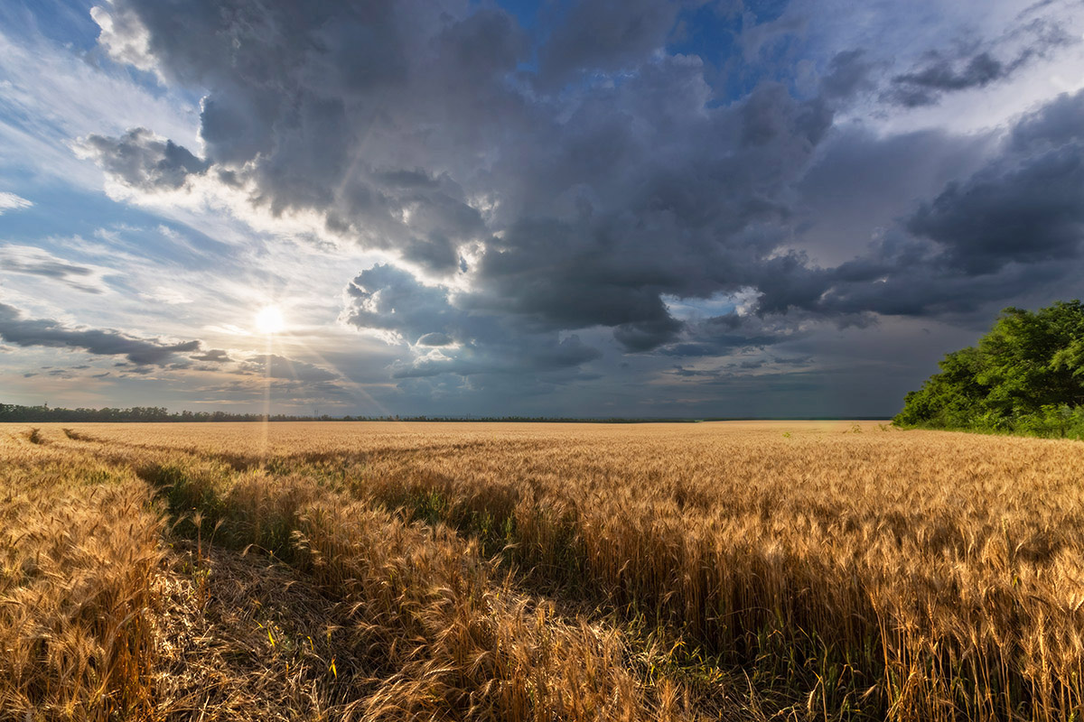 Немного июля