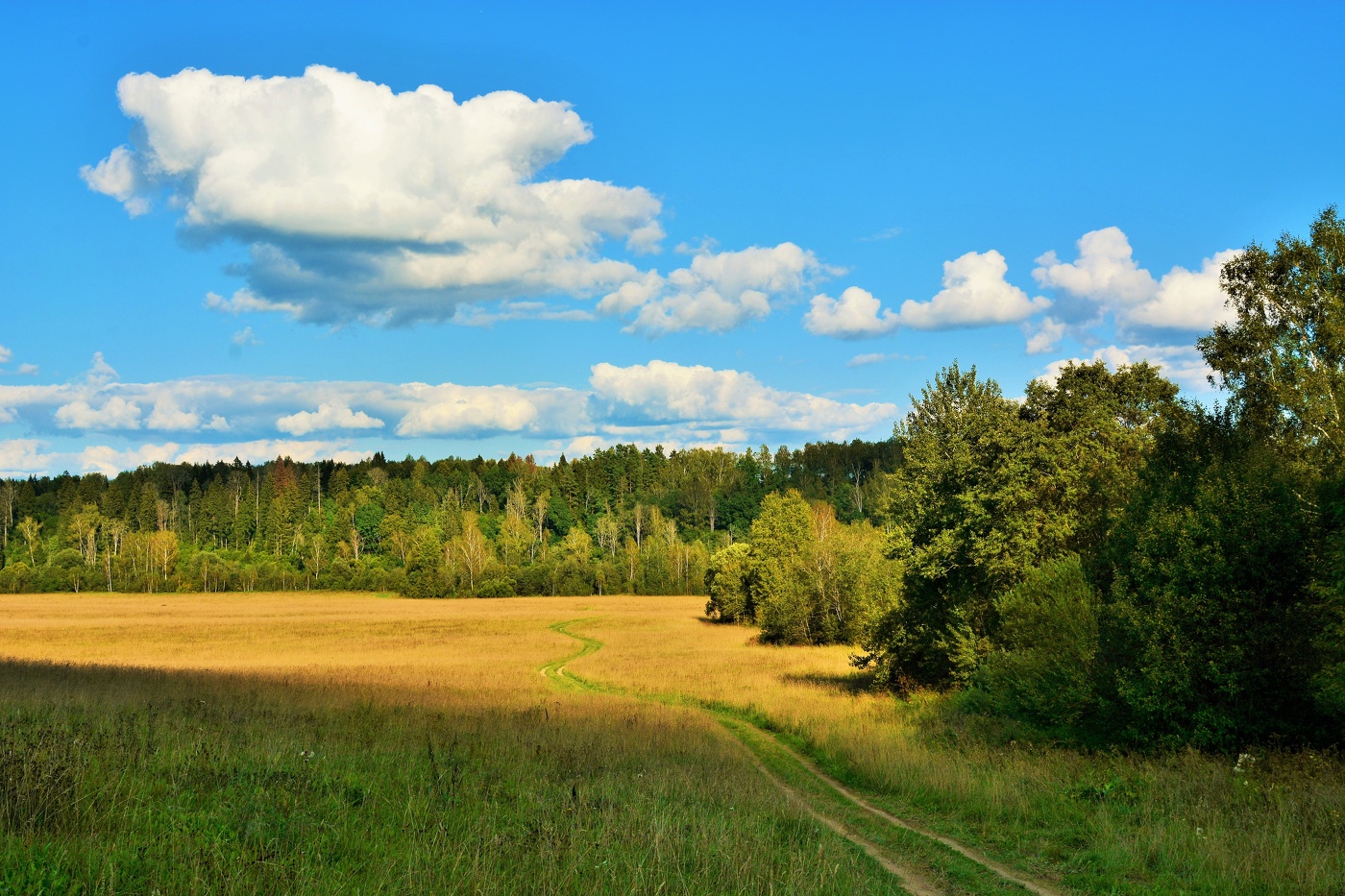 Молодая осень ...