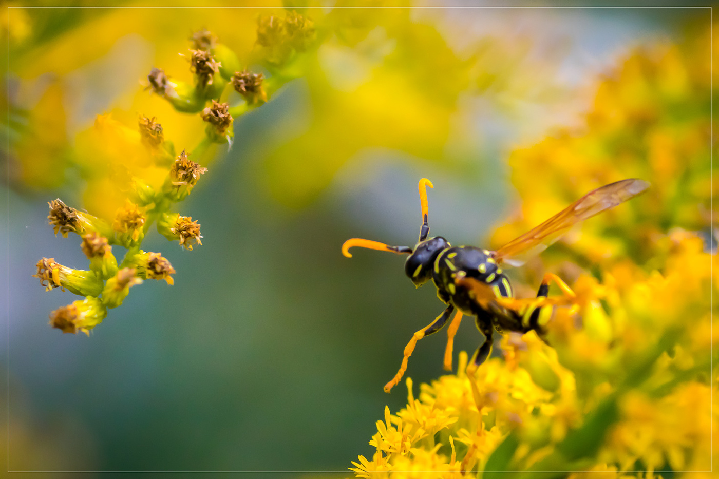 Низкий старт