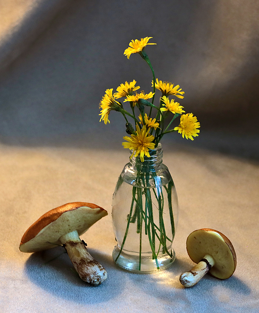 Натюрморт, собранный рядом с домом