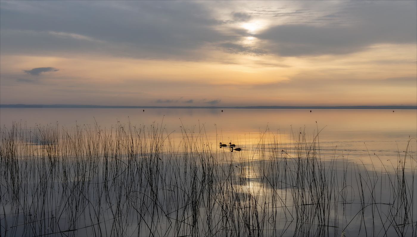 ГРАНИЦА ТИШИНЫ