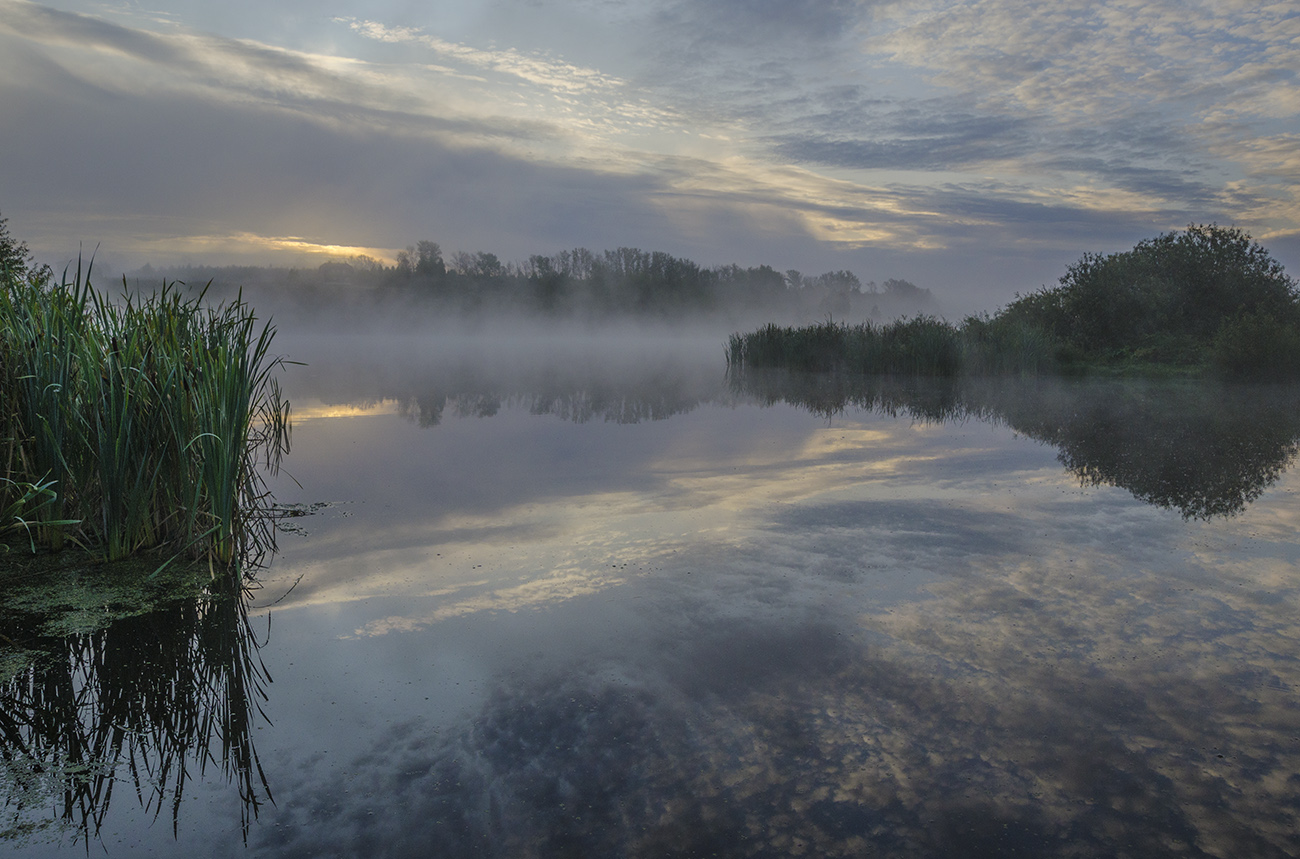 Архангельское. В зеркальном отражении