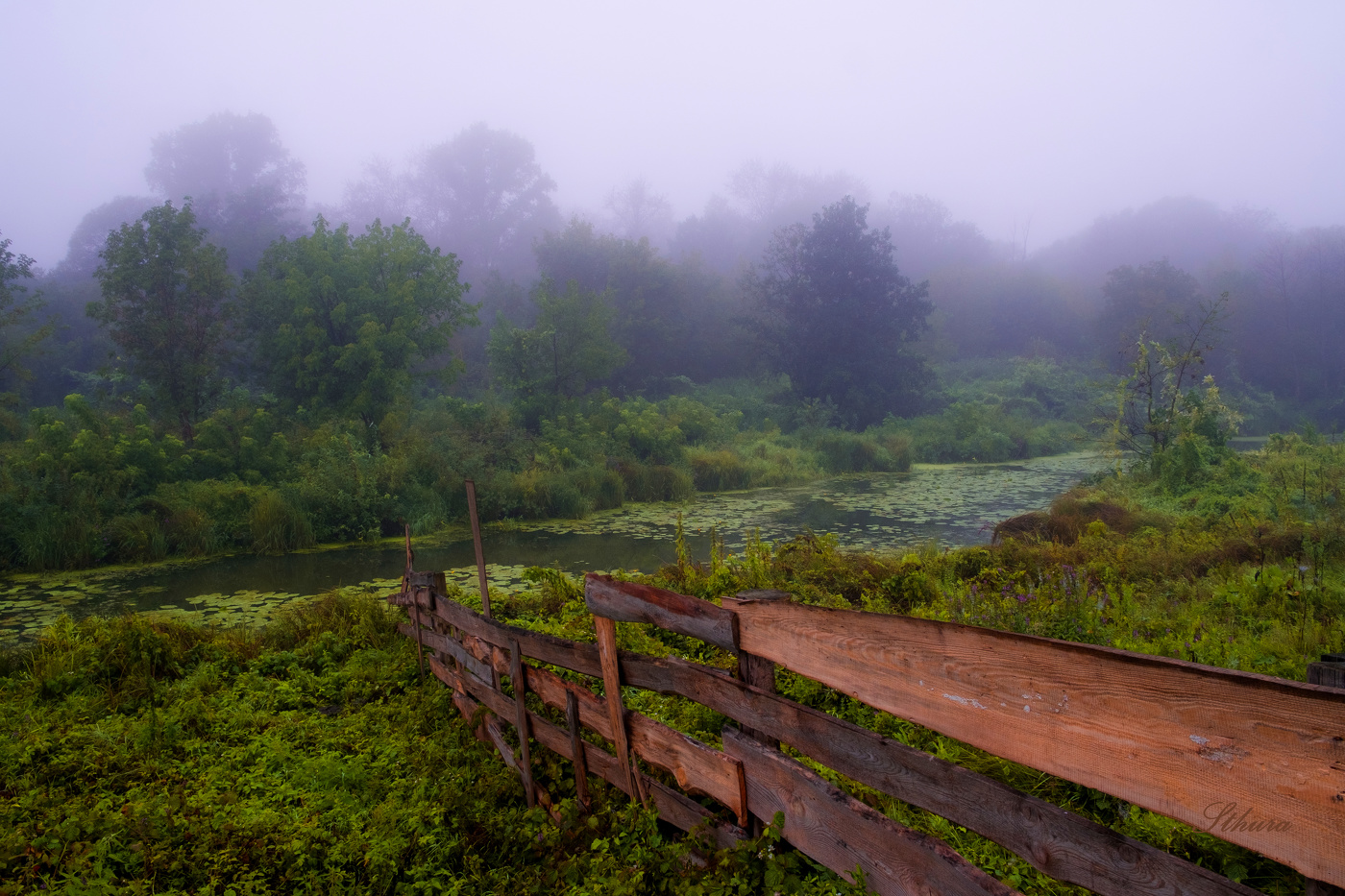 Пейзаж с оградой.