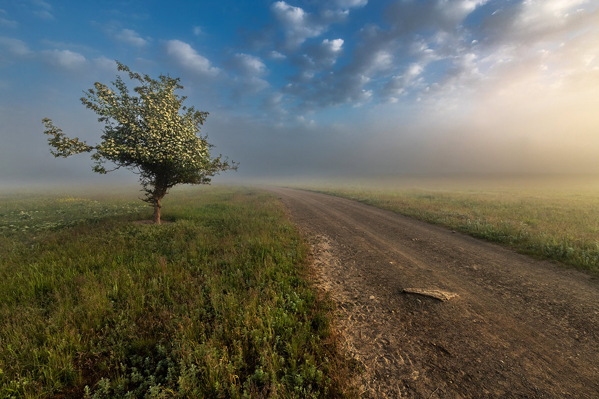 Дорога куда-то