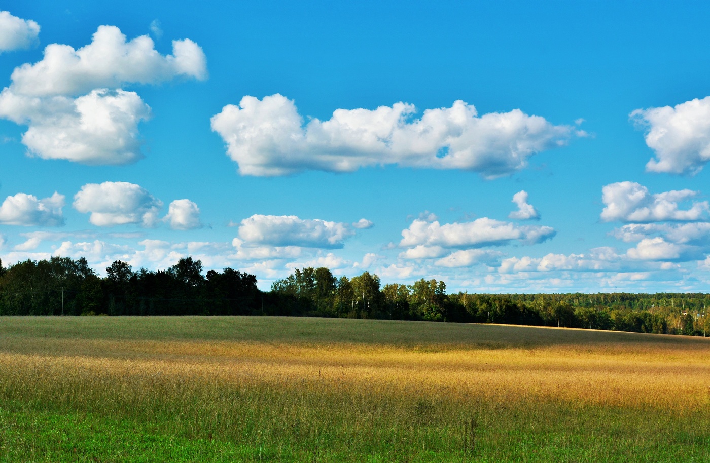 "Вослед облакам, плывущим по небосклону, ухожу и я ..."