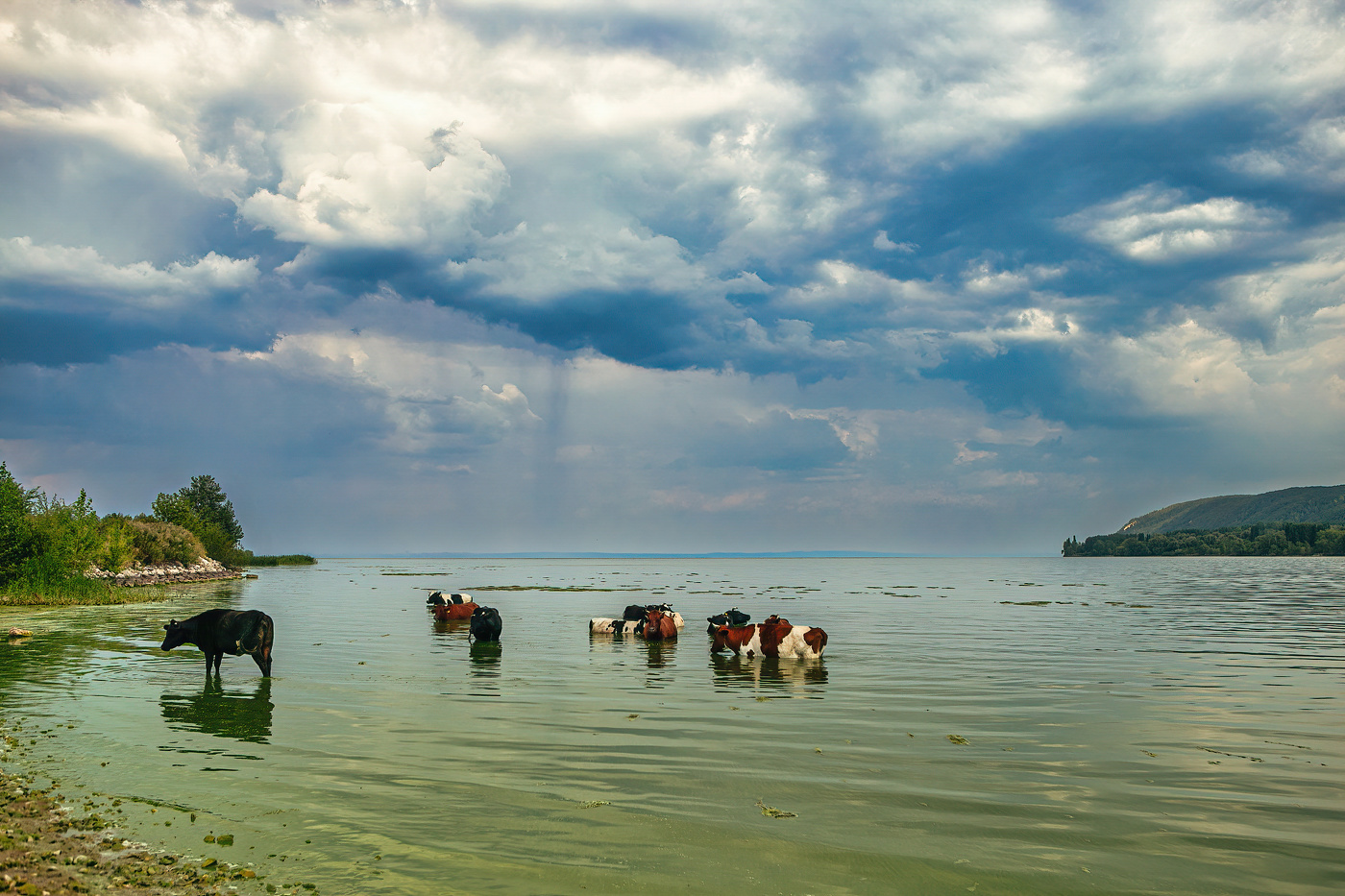 Скоро гроза.