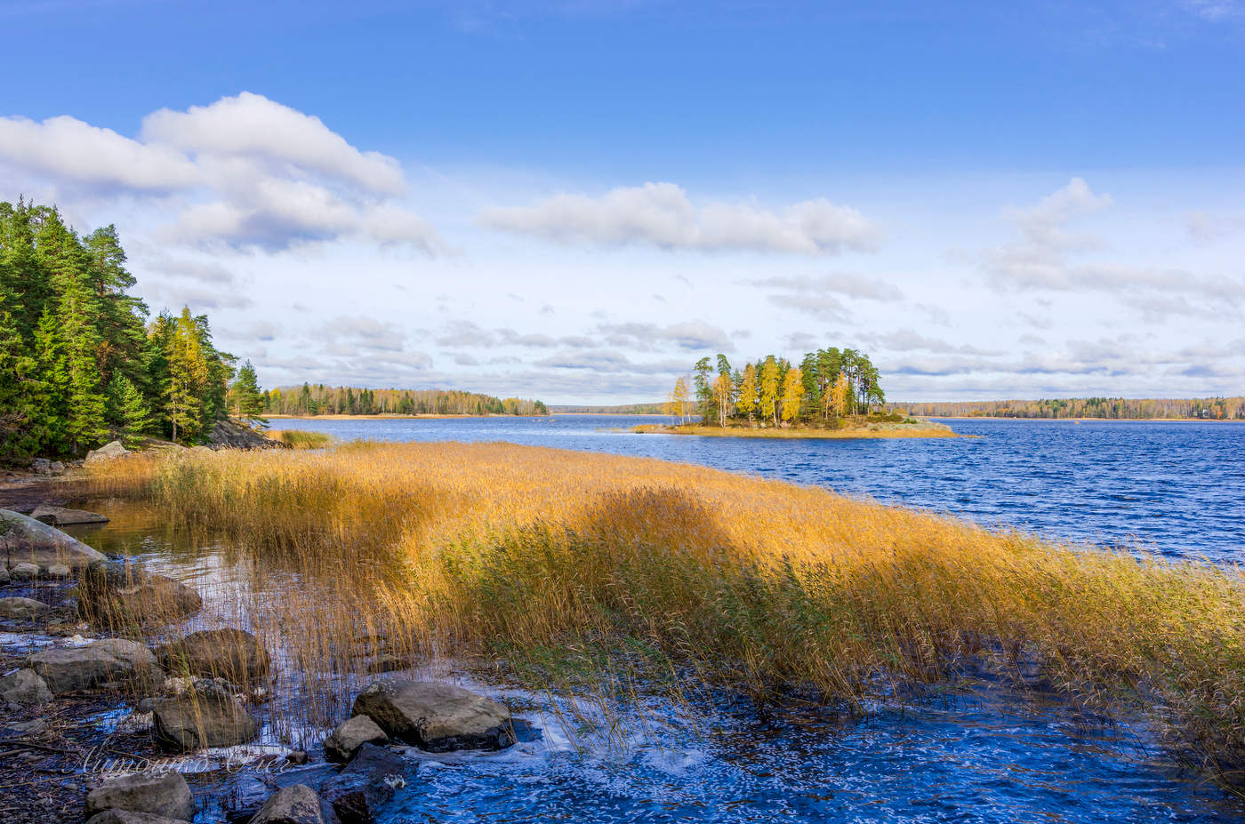 Парк "Монрепо" осенью.