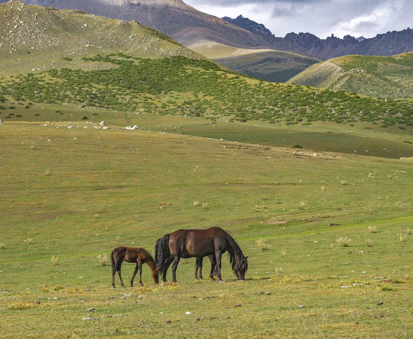 Горный пейзаж