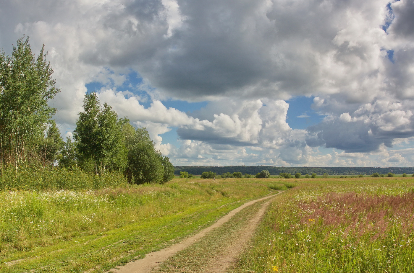 Июньский променад