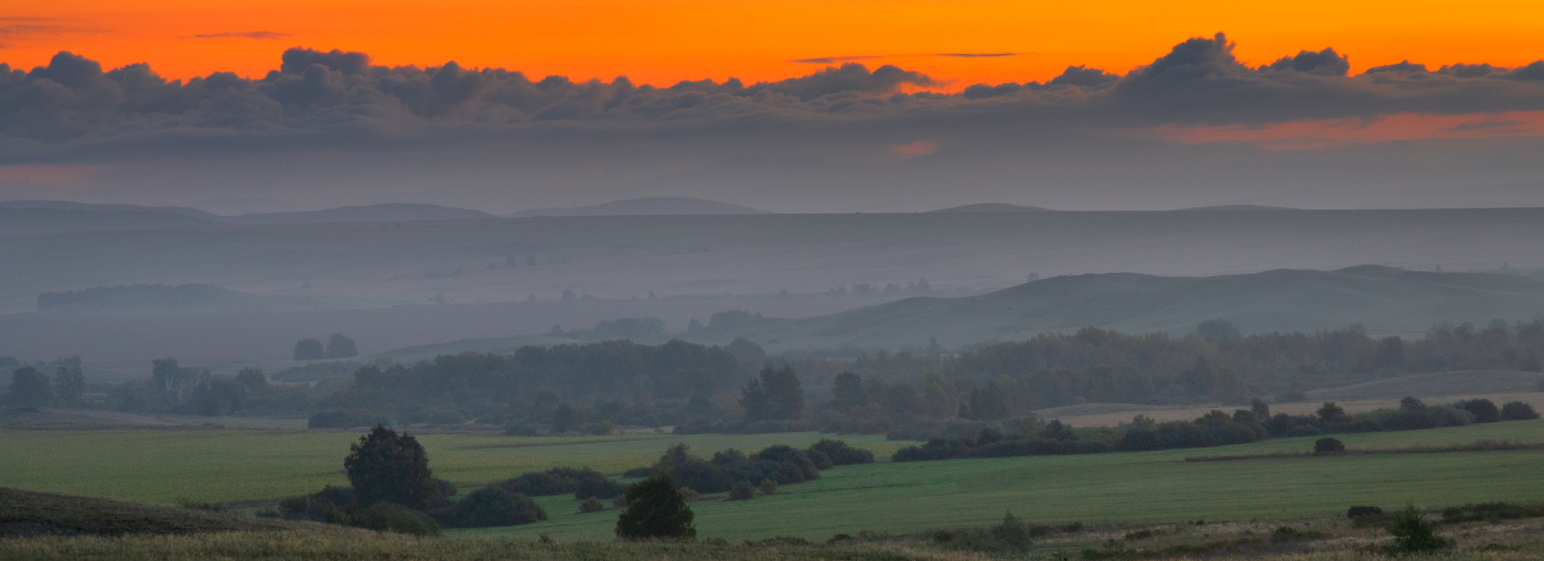 На утренней заре
